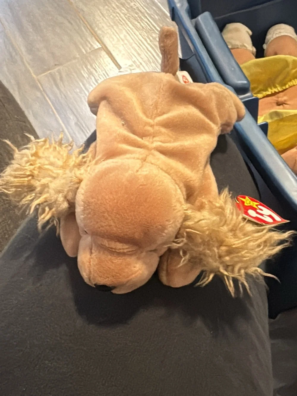 Ty Beanie Baby Spunky The Cocker Spaniel 1997 Retired